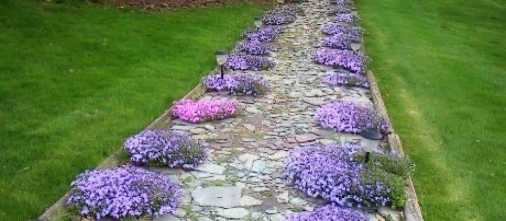 Bed and Breakfast The Pines Of Dresden Exterior foto